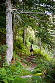 Woman on Hiking on Wooded Mountain Trail, Rear View