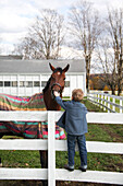 Young Boy Petting Horse