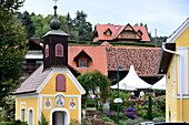 In the wine area Schilcher near Stainz, Styria, Austria