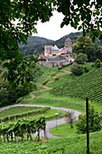 Burg von Deutschlandsberg im Weingebiet Schilcher bei Stainz, Steiermark, Österreich