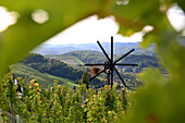 Vineyard at the southstyria wineroad near Gamlitz, Styria, Austria