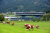 At the Racing concourse Red Bull Ring near Spielberg, Styria, Austria