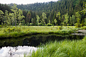 Buhlbachsee, bei Baiersbronn, Nationalpark Schwarzwald, Landkreis Freudenstadt, Schwarzwald, Baden-Württemberg, Deutschland