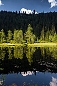 Buhlbachsee, bei Baiersbronn, Nationalpark Schwarzwald, Landkreis Freudenstadt, Schwarzwald, Baden-Württemberg, Deutschland