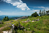 Schliffkopf, near Baiersbronn, Black Forest National Park, Black Forest, Baden-Württemberg, Germany