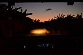 View through the windshield of a car during a bush drive at night in Kigamboni, Tanzania, Africa