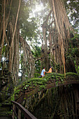 Tourists climbing bridge in jungle