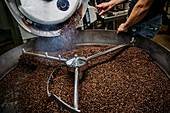 Caucasian roaster working on coffee in machinery