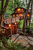 Wooden walkway to illuminated tree house