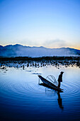 Asian fisherman using fishing net in canoe on river