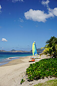 Nevis, St. Kitts and Nevis, Leeward Islands, West Indies, Caribbean, Central America