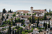 Granada, Province of Granada, Andalusia, Spain, Europe