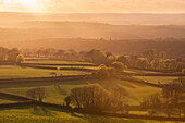 Rolling farmland at sunset, West Devon, England, United Kingdom, Europe