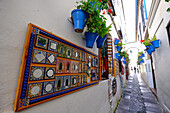 Calle de las Flores, Cordoba, Andalucia, Spain, Europe