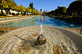 Fountain in the Alcazar de los Reyes Cristianos, UNESCO World Heritage Site, Cordoba, Andalucia, Spain, Europe