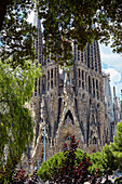 Sagrada Familia, UNESCO World Heritage Site, Barcelona, Catalonia, Spain, Europe