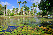 pond with water lilies, Codrington College, Condrington Plantation, Barbados, Lesser Antilles, West Indies, Windward Islands, Antilles, Caribbean, Central America