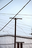 spärtliche Behausung und Strommast im Fischerdorf Tai O, Insel Lantau, Hongkong, China, Asien