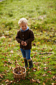 Boy, age 5, collecting chestnuts, Uffing, Staffelsee, Upper Bavaria, Bavaria, Germany