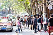 Tianzifang, Besucher auf Straße, Platanen über Straße, Straßenszene, Bummelgegend, Einkaufsstraße, Schanghai, Shanghai, China, Asien