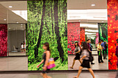Fussgänger vor Spiegelfassade, Naturmotive, Regenwald, rote Blüten, Metro, MRT, U-Bahn, Transport, Öffentlicher Nahverkehr, Verkehrsmittel, Singapur