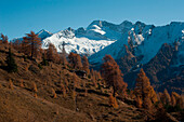 View from Schmirn Valley to the Olperer, Tux Alps, Tyrol, Austria