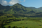 Hanalei Valley and Valley walls, Kauai, Hawaii, United States of America