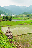 Landscape of rice fields from a small village near to Wuyuan, Jiangxi province, China