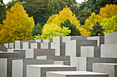 Holocaust Memorial designed by US architect Peter Eisenmann, the gray slabs commemorate the millions of Jews killed by the Nazis, Berlin, Germany