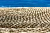 Harvest stubble lines on a hilly field with blue sky, Alberta, Canada