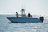 Fishing for stripers off the Atlantic coast, Massachusetts, United States of America