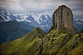 Schynige Platte with Jungfrau and Monch Alps in background, Wilderswil, Switzerland