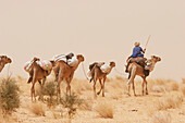 Tuareg camel caravan near Timbuktu, Mali