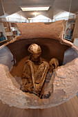 Skeleton In A Pot On Display At The Archaeological Museum R. P. Gustavo Le Paige, San Pedro De Atacama, Antofagasta Region, Chile