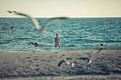 Seagulls flying near Caucasian teenage girl standing in ocean