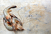 Close up of raw shrimp