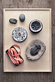Tray of pebbles, fossil, ribbon and buttons