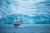 Expeditions-Kreuzfahrtschiff MS Bremen Hapag-Lloyd Kreuzfahrten vor Gletscherwand, Point Wild, Elephant Island, Suedshetland-Inseln, Antarktis