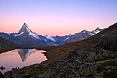 Pink sky at sunrise on the Matterhorn reflected in Stellisee, Zermatt, Canton of Valais, Pennine Alps, Swiss Alps, Switzerland, Europe