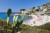 Beach of Seccheto, Island of Elba, Livorno Province, Tuscany, Italy, Europe