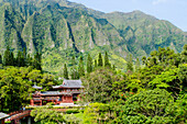 Byodo-In Temple, Valley of The Temples, Kaneohe, Oahu, Hawaii, United States of America, Pacific