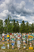 Signpost forest, Watson Lake, Yukon Territory, Canada, Summer