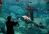 A tourist taking pictures with a smart tablet at The Sealife Center in Seward, Alaska.