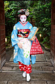 Maiko, apprentice geisha, leaves okiya geisha house through garden gate for evening appointment, Gion, Kyoto, Japan, Asia