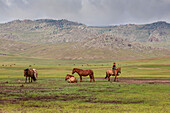 Smiling boy rides bareback past other horses, summer nomad camp, Khujirt, Uvurkhangai Ovorkhangai, Central Mongolia, central Asia, Asia