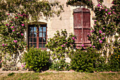 Sitting on the banks of the river Allier, this rose covered house is found in the beautiful village of Apremont-sur-Allier, Cher, Centre, France, Europe