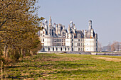 Looking down the pathway towards the Renaissance Chateau de Chambord, UNESCO World Heritage Site, Loire Valley, Chambord, Loir et Cher, Centre, France, Europe