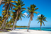 Canto de la Playa, Saona Island, Parque Nacional del Este, Punta Cana, Dominican Republic, West Indies, Caribbean, Central America