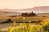 Farm house Belvedere at sunrise, near San Quirico, Val d'Orcia Orcia Valley, UNESCO World Heritage Site, Siena Province, Tuscany, Italy, Europe