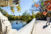 Bruecke ueber den See, The Lake, Ruderboote, Herbst im Central Park, bunte Blaetter, Skyline, Manhattan, New York City, USA, Amerika